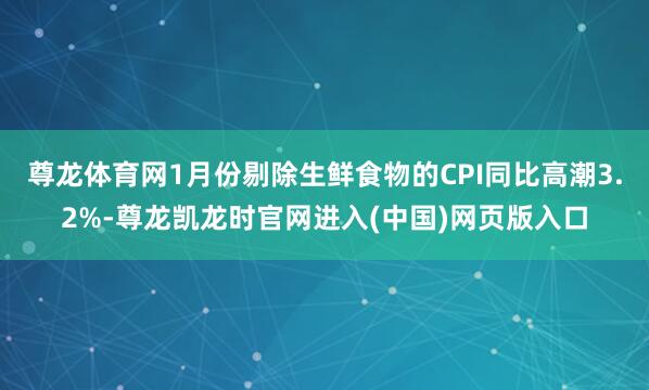 尊龙体育网1月份剔除生鲜食物的CPI同比高潮3.2%-尊龙凯龙时官网进入(中国)网页版入口