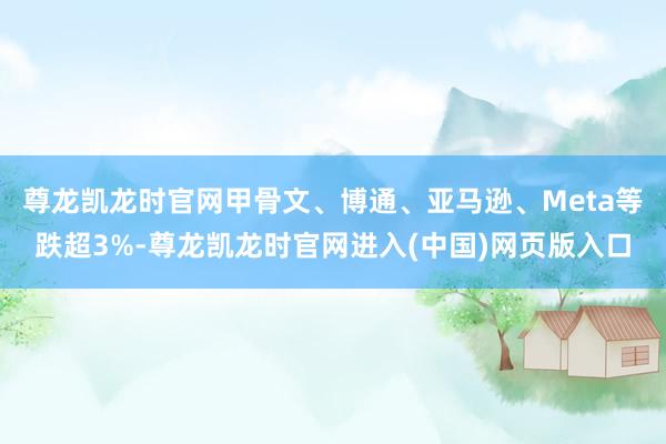 尊龙凯龙时官网甲骨文、博通、亚马逊、Meta等跌超3%-尊龙凯龙时官网进入(中国)网页版入口
