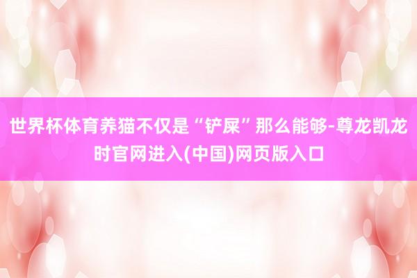 世界杯体育养猫不仅是“铲屎”那么能够-尊龙凯龙时官网进入(中国)网页版入口