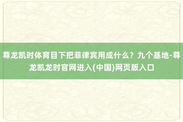 尊龙凯时体育目下把菲律宾用成什么?九个基地-尊龙凯龙时官网进入(中国)网页版入口