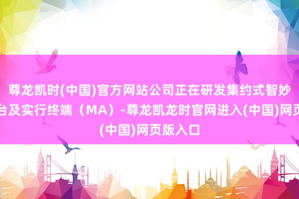 尊龙凯时(中国)官方网站公司正在研发集约式智妙手术平台及实行终端（MA）-尊龙凯龙时官网进入(中国)网页版入口